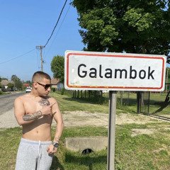 Galamboss-Jogos Erkezes