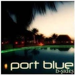 Seagulls - Port Blue