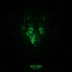 Torsten x NØRAJ - Wild Ones [Free DL]