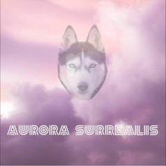 Sonar Acid Wolve- Hauntology 5 (Demo for the EP "Aurora Surrealis")