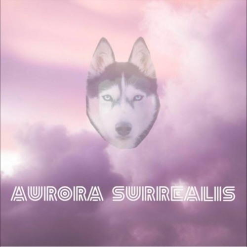 Sonar Acid Wolve- Hauntology 5 (Demo for the EP "Aurora Surrealis")