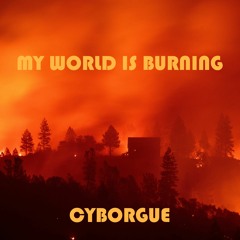 My world is burning