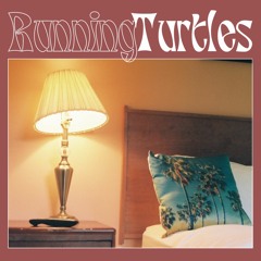 STUPR - Running Turtles (Acidfinky Remix)
