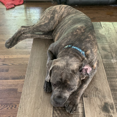 this is weed, pot, cannabis, mary jane