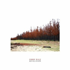 Premiere: Eddie Hale - Revelation (Joel Mull Hypno Mix)