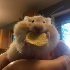 Our Time (prod. A4B2)