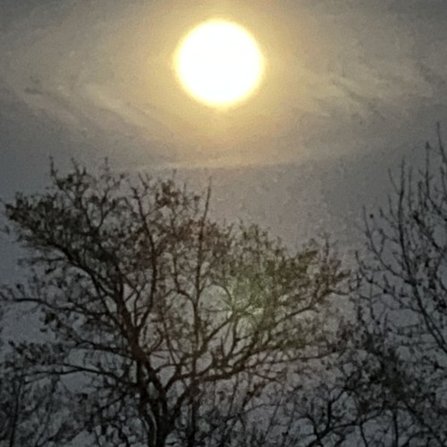 Bop (Prod Chris Gaona)