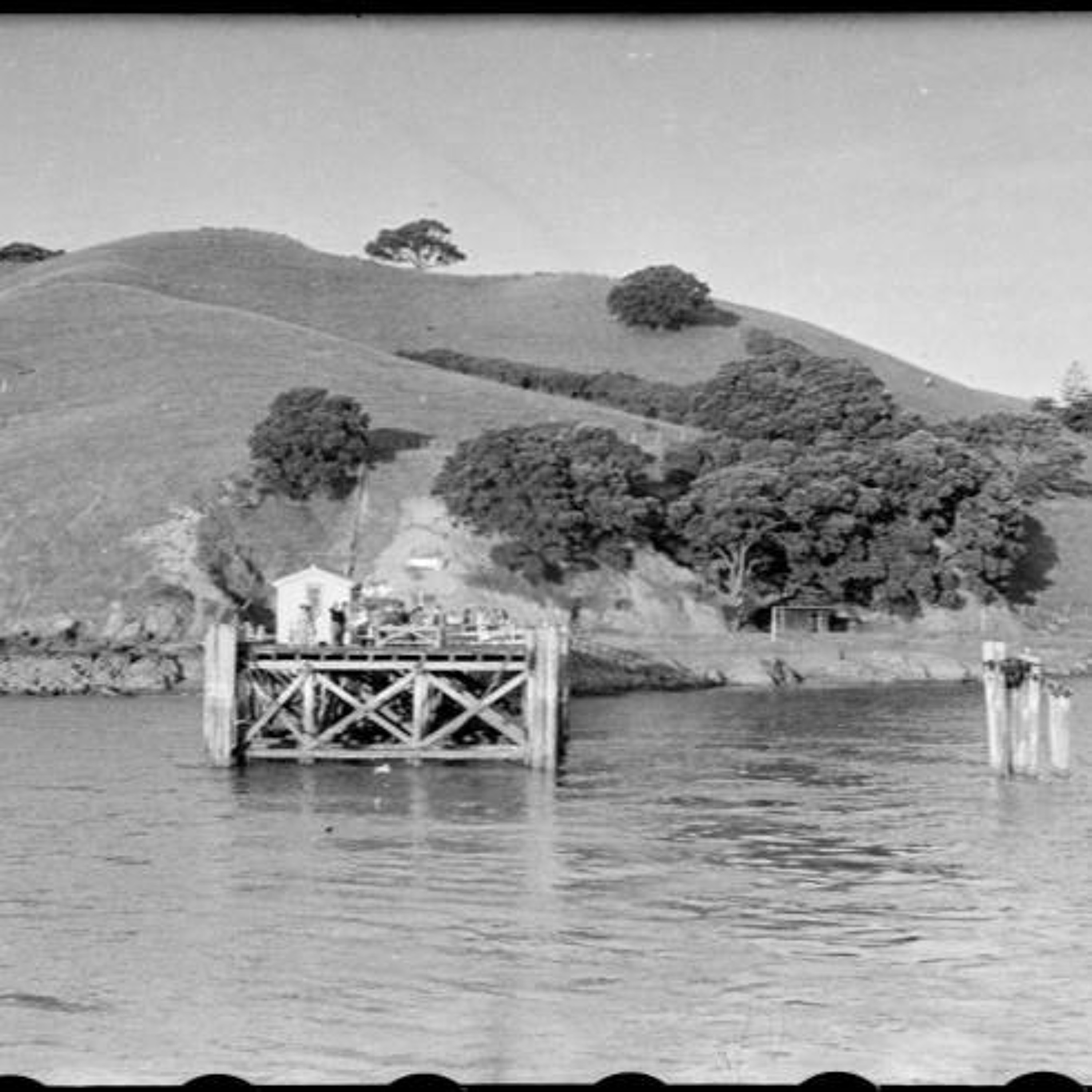 Waiheke Island: Colin Gordon and his Road episode artwork