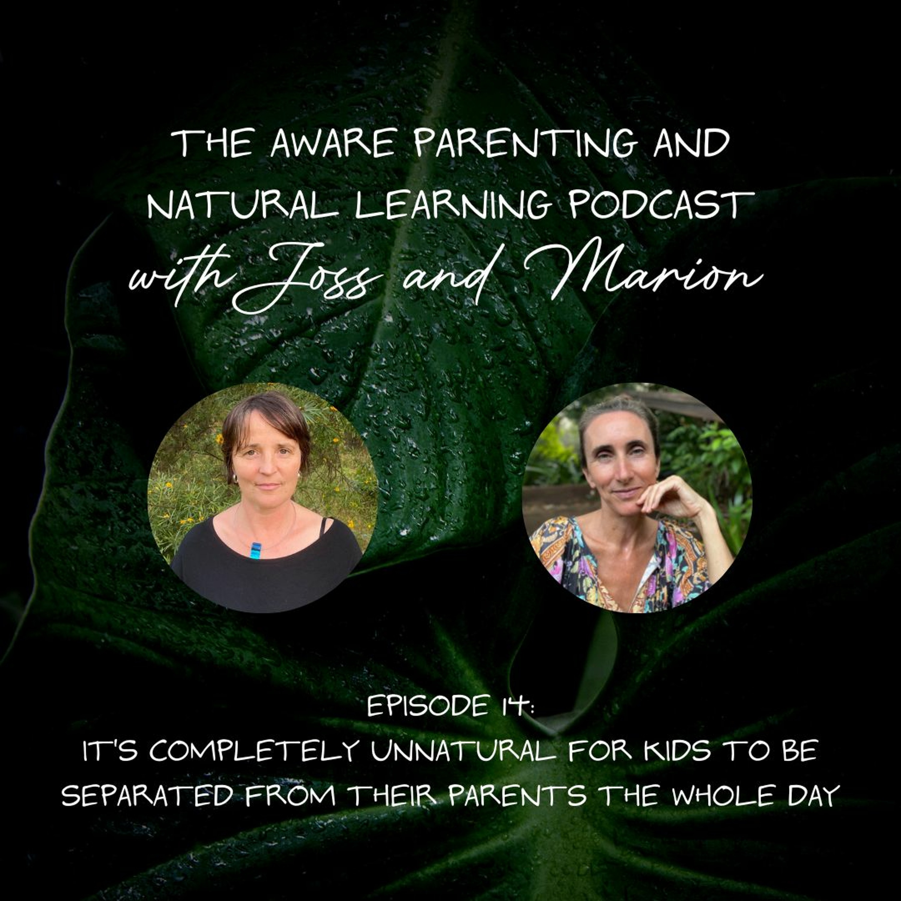 Episode 14: It's completely unnatural for kids to be separated from their parents the whole day