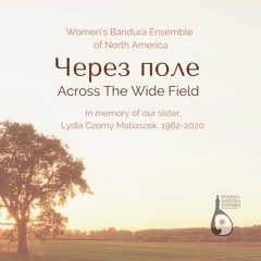 Across The Wide Field