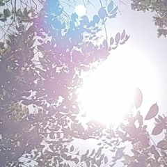 Cleanse.tt1