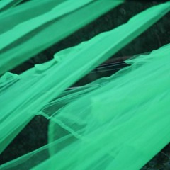 Bach ft. Fluss - mIdLIfe