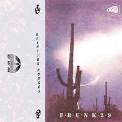 PREMIERE: Frunk29 — Kushim (Not Not Fun)