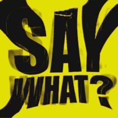 SCD23-SAY WHAT?