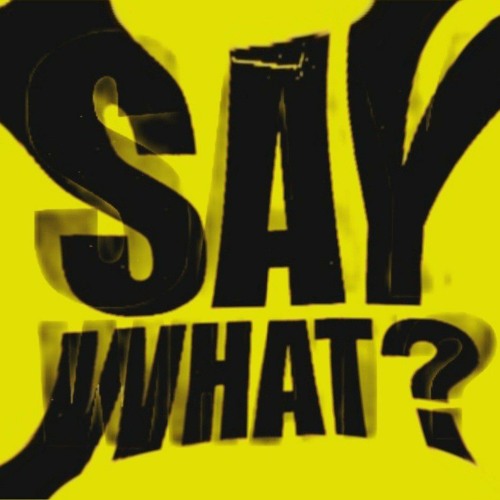 SCD23-SAY WHAT?