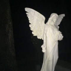 navy (zachmadethis + wiley)