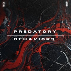 Simulation Theory - Predatory Behaviors (Original Mix)
