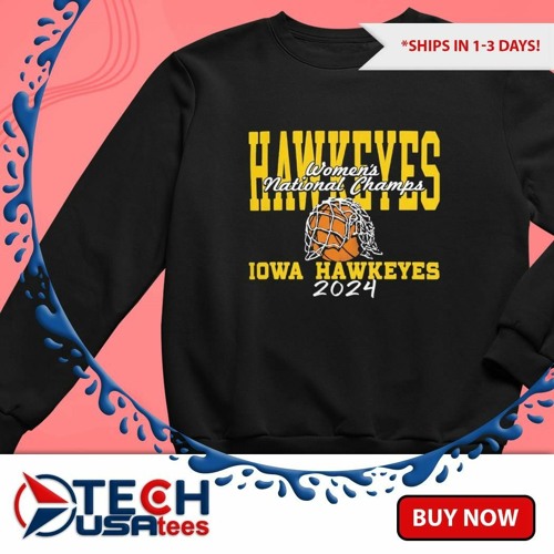 Iowa Hawkeyes 2024 Women’s Basketball National Champs cut the Net shirt