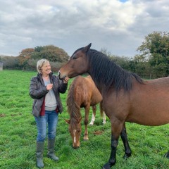 "Un cheval peut vous tuer !" : une éleveuse finistérienne alerte après plusieurs intrusions