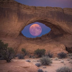 to the moon