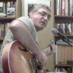 Foolish Guillemot Blues