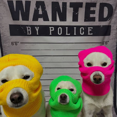 CUPID JDM PLAT KT - SELEBEWW