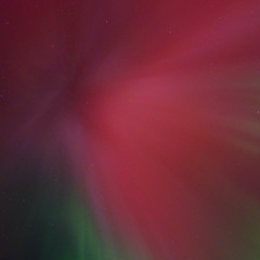 Too many edibles not enough BPMs