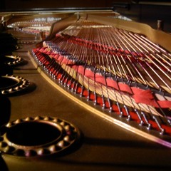 Rob Schwimmer: Waltz For Clara - Ivory 3 American Concert D