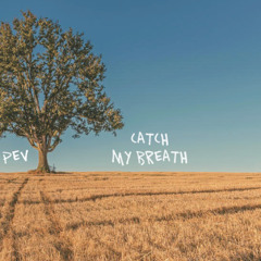 Kelly Clarkson - Catch my Breath (pev remix)