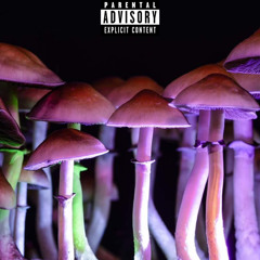Nando! - Off The Shrooms (feat. Trill)