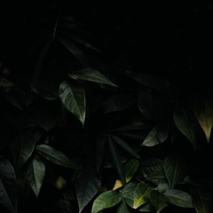 K@nkercomputerstoring