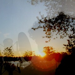 Flightless Bird, American Mouth