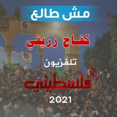 مش طالع - كفاح زريقي / mish tale3 - Kefah zreeqy