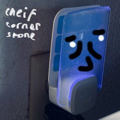 For thus saith the Lord, Thy bruise is incurable, and thy wound is grievous.