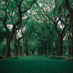 Iphone Voice Memo 06: Ache For You/Beautiful Like Words (Ben Lee/Elijah Wyman Cover)