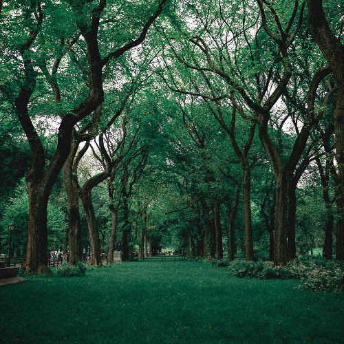 Iphone Voice Memo 06: Ache For You/Beautiful Like Words (Ben Lee/Elijah Wyman Cover)
