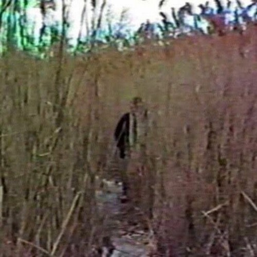 Irreversible Changes, Fukkfacee - Predictive Programming