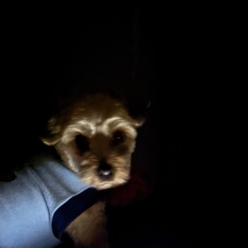 Hypnotic Pulse 2.mp3