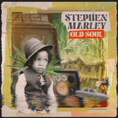 Stephen Marley - Dont You Believe FLIP