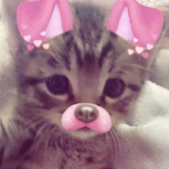 awsomecat2011:3