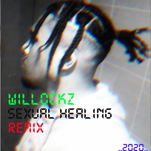 WILLOCKZ_-_Sexual_-_Healing_-_REMIX_-_(2020).mp3