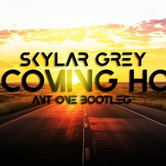 Skylar Grey - Coming Home (Ant One Bootleg)