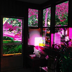 Counterfit (prod. fantom)