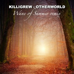 Killigrew - Otherworld (Wane Of Summer Remix)