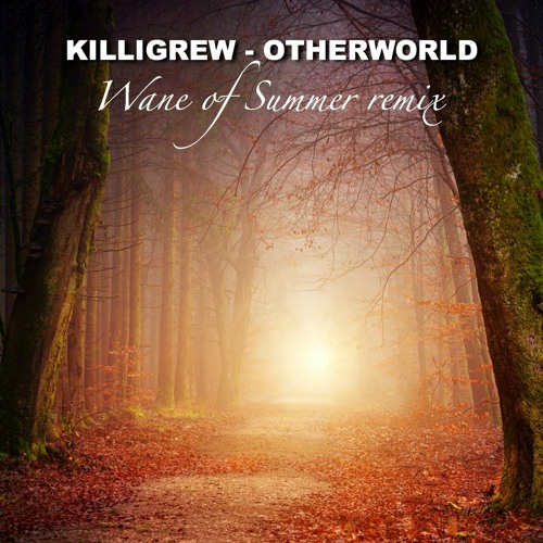 Killigrew - Otherworld (Wane Of Summer Remix)