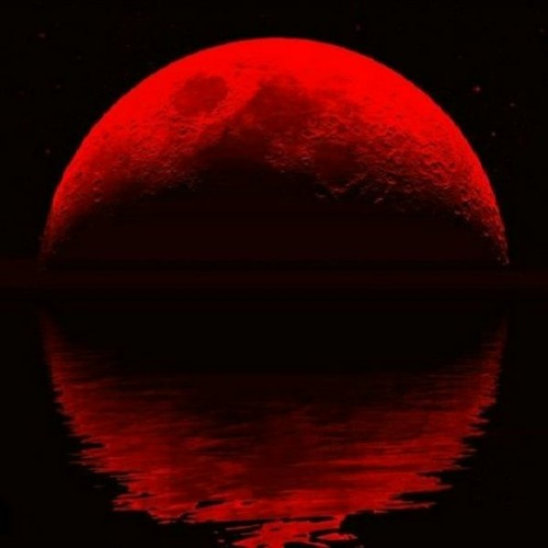 Do Not Go Gentle Into That Good Night