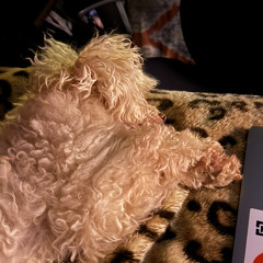 First Place .mp3 (prod : Ivan)