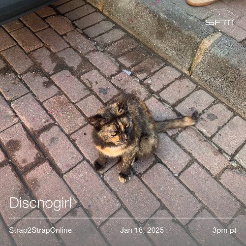 Strapt: Discnogirl