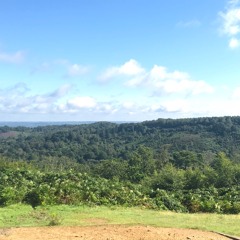 Hindhead Tales - Viewpoint