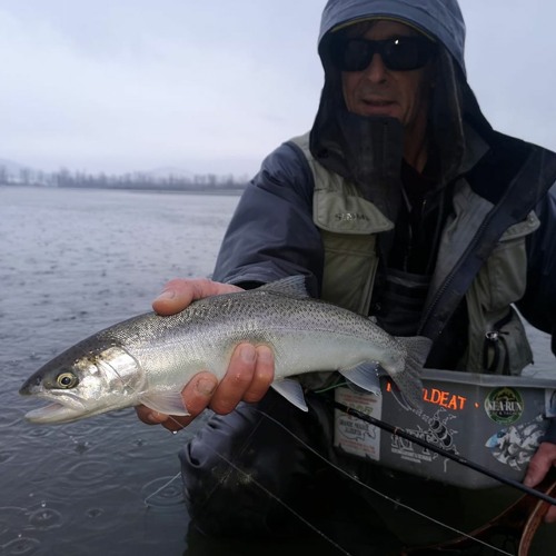 156  Drums and Fins, Randy Paskall , Cutthroat, Rainbow Trout and much more